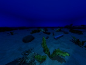 SeaStereo Right