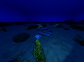 SeaStereo Right