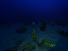 SeaStereo Right
